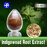 Radix Isatidis extract