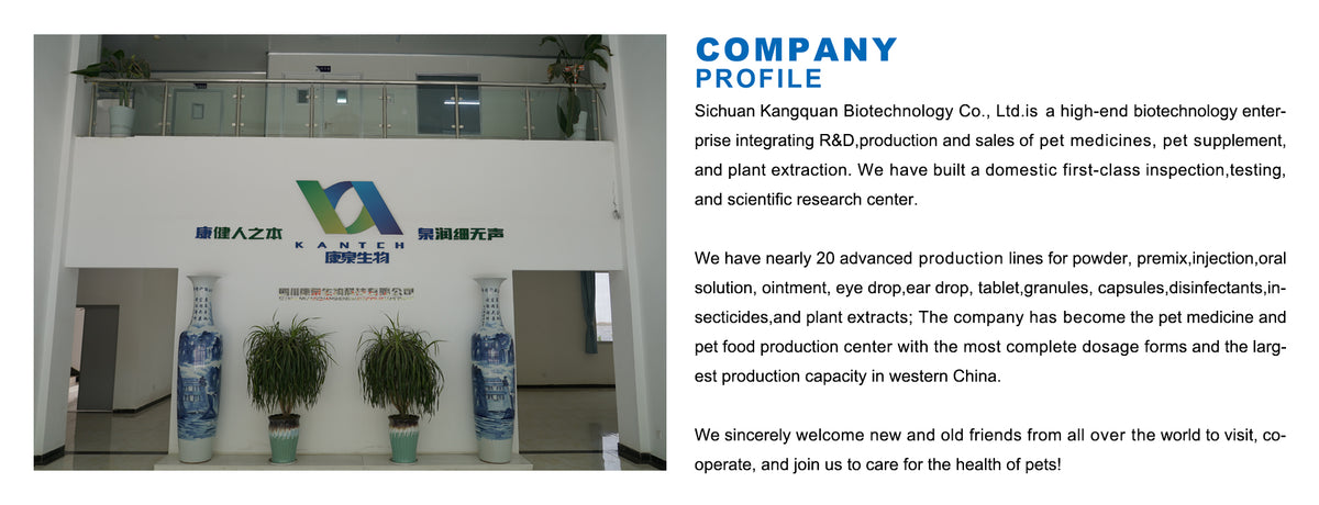 kantchvet.com